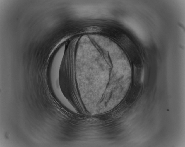 X0000097650387200803280934