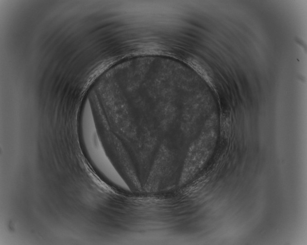 X0000097650389200803280934