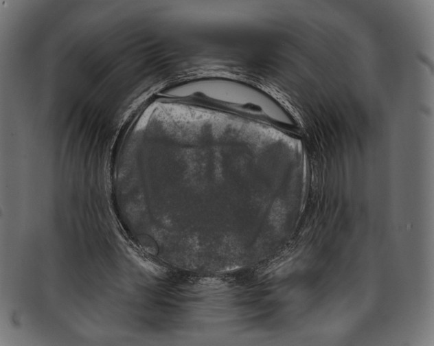 X0000097650390200803280934