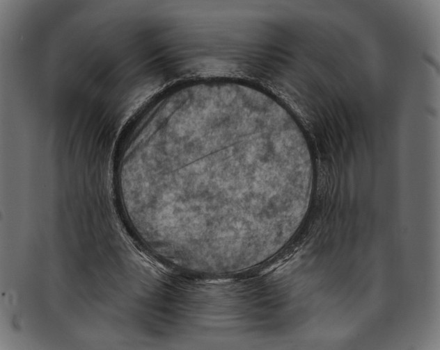 X0000097650391200803280934