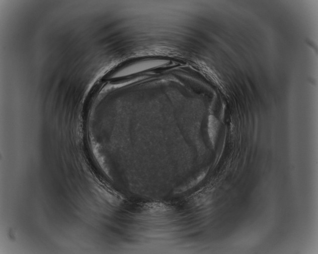 X0000097650392200803280934