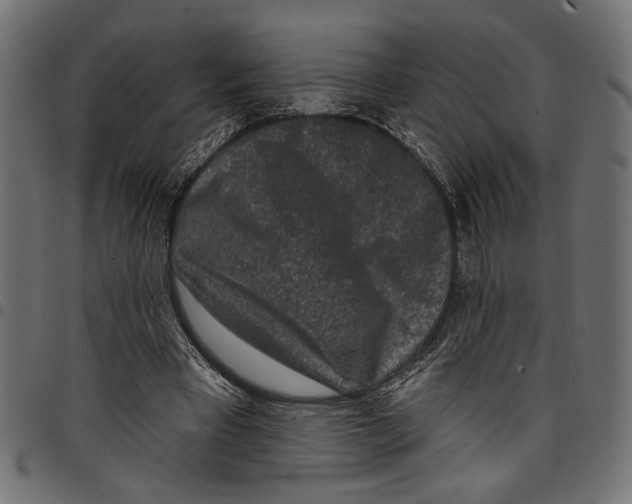 X0000097650393200803280934