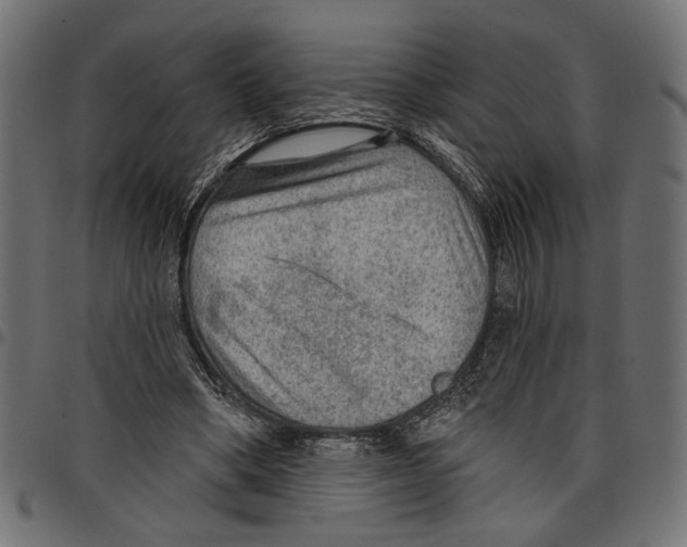 X0000097650394200803280934