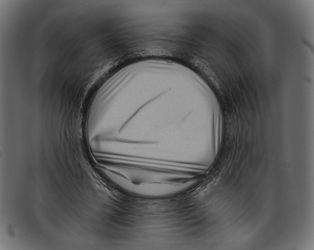 X0000097650395200803280934