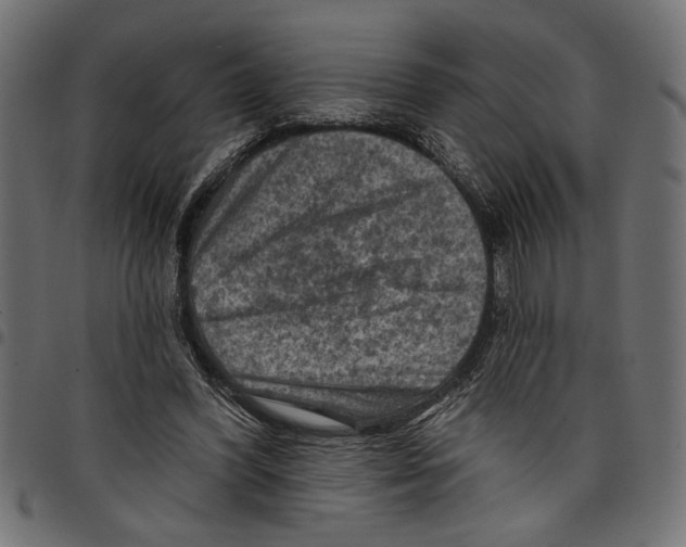 X0000097650396200803280934