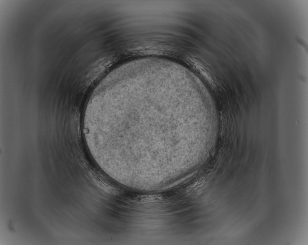 X0000097650398200803280934