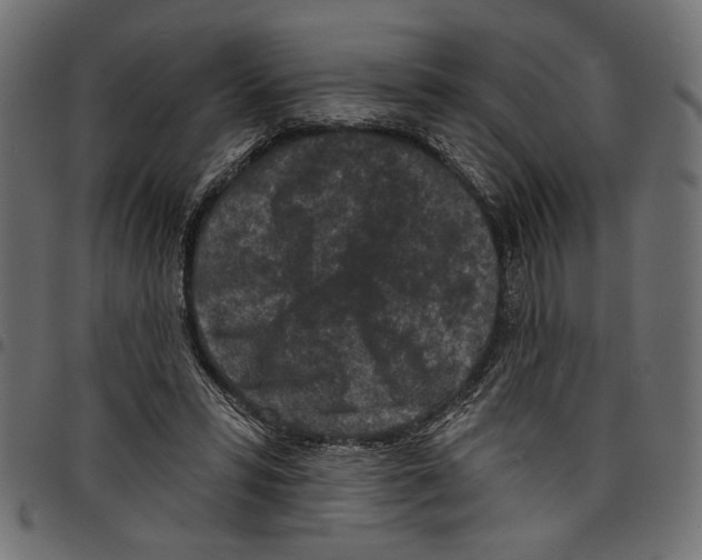 X0000097650399200803280934