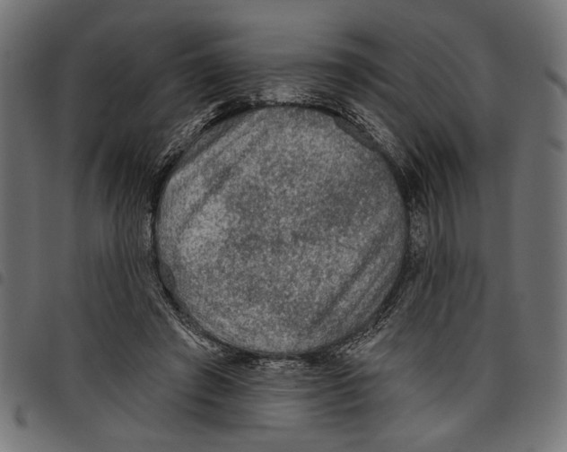 X0000097650401200803280934