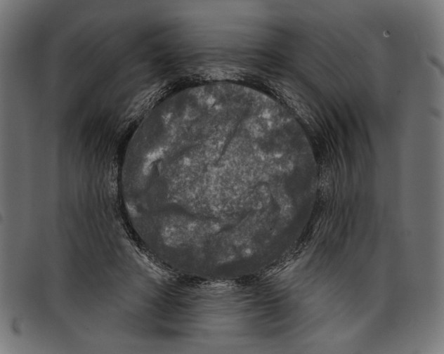 X0000097650402200803280934