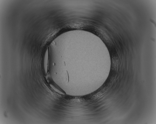 X0000097650404200803280934