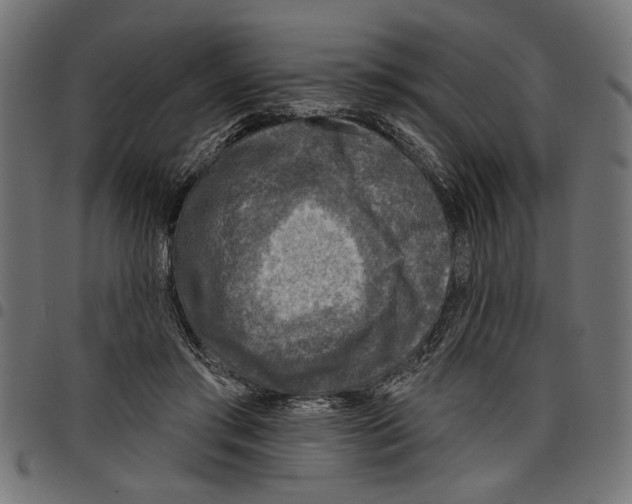 X0000097650405200803280933