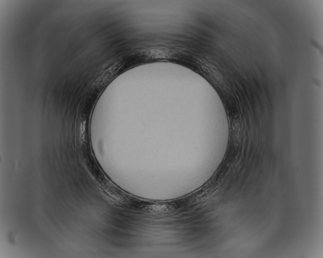 X0000097650406200803280933