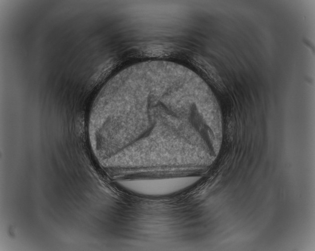 X0000097650407200803280933