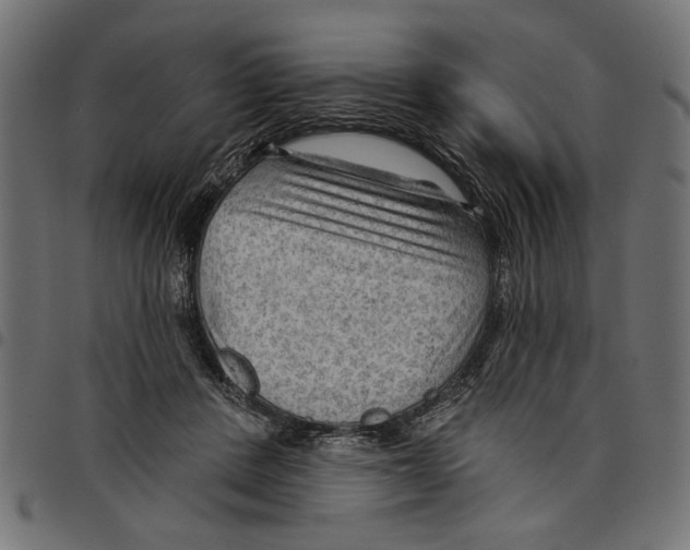 X0000097650408200803280933