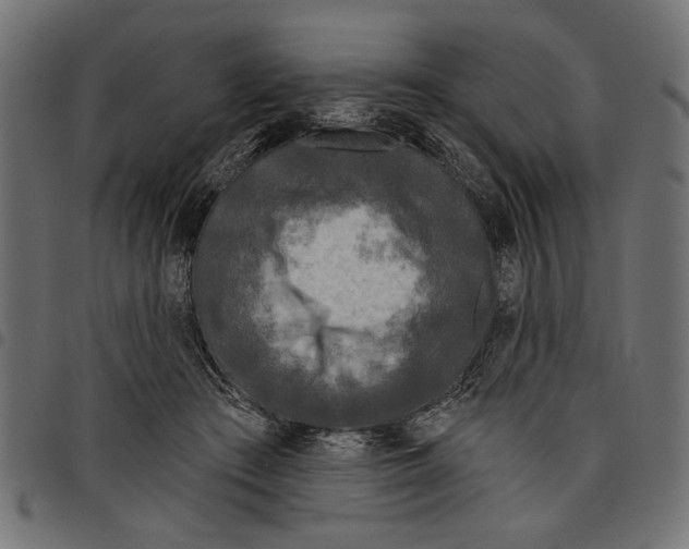 X0000097650409200803280933