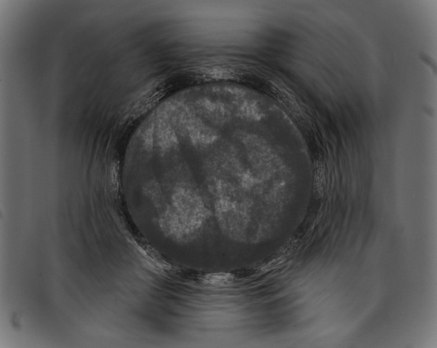 X0000097650410200803280933