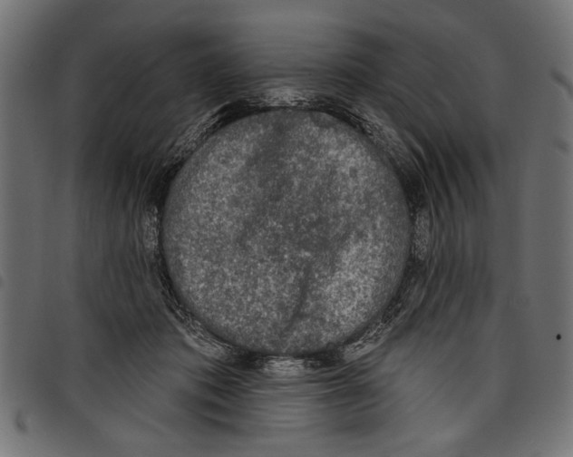 X0000097650413200803280933