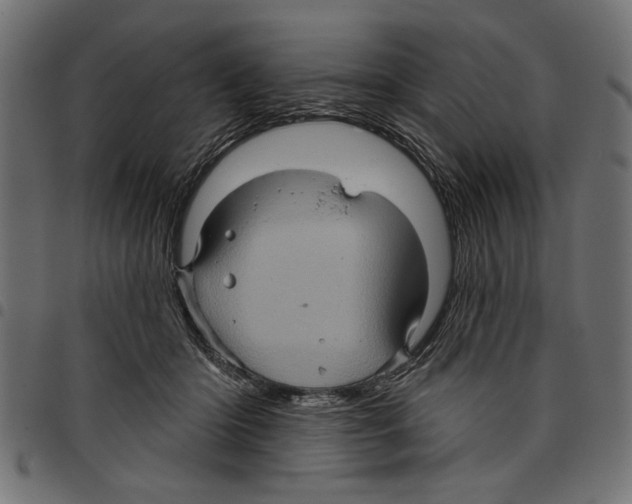 X0000097650414200803280933