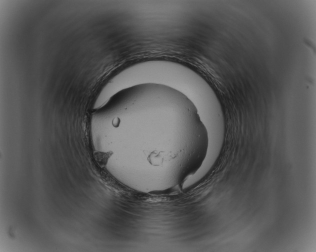 X0000097650415200803280933