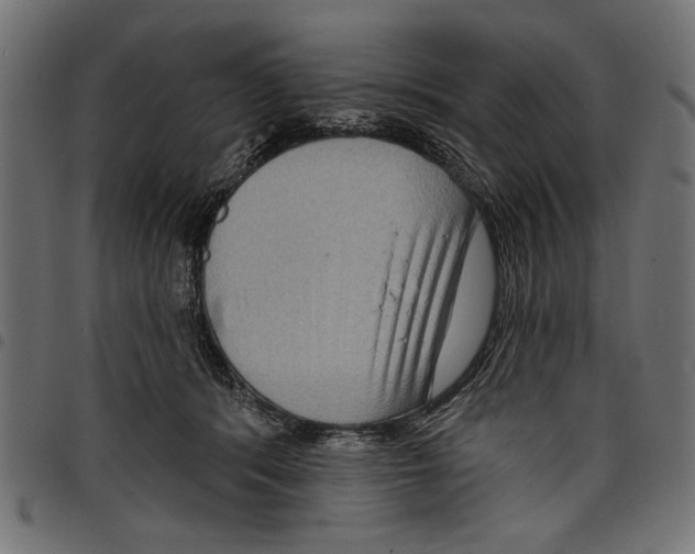 X0000097650416200803280933