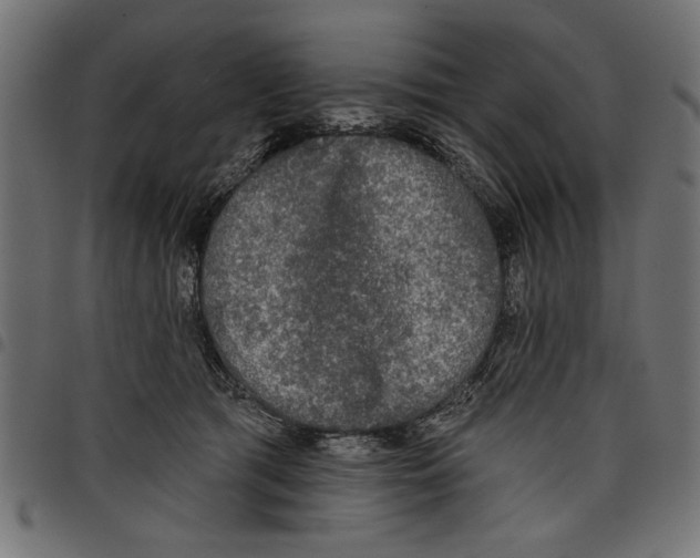 X0000097650417200803280933