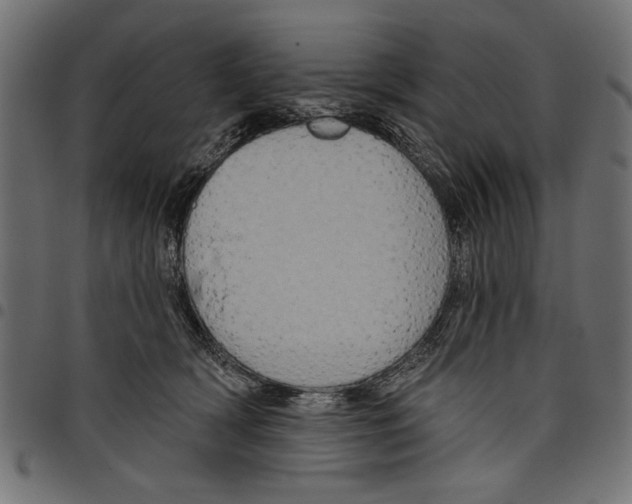 X0000097650418200803280933