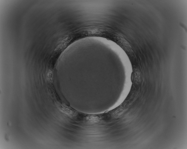 X0000097650419200803280933