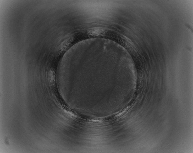 X0000097650420200803280933