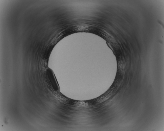 X0000097650421200803280933