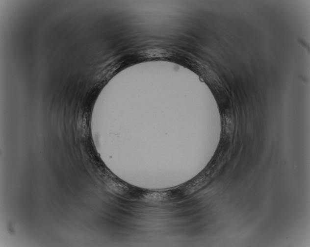 X0000097650422200803280933