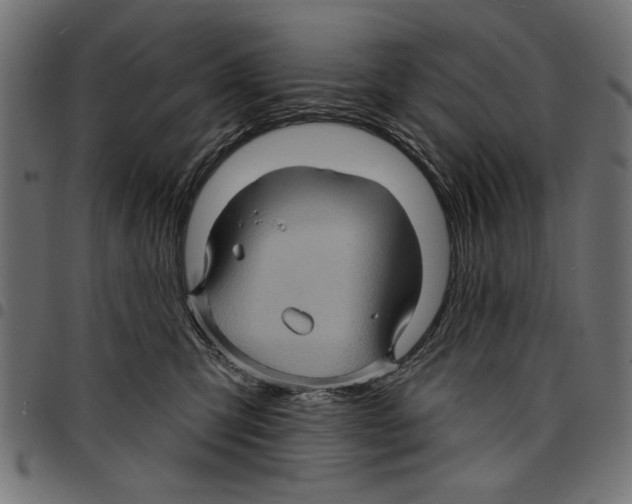 X0000097650423200803280933