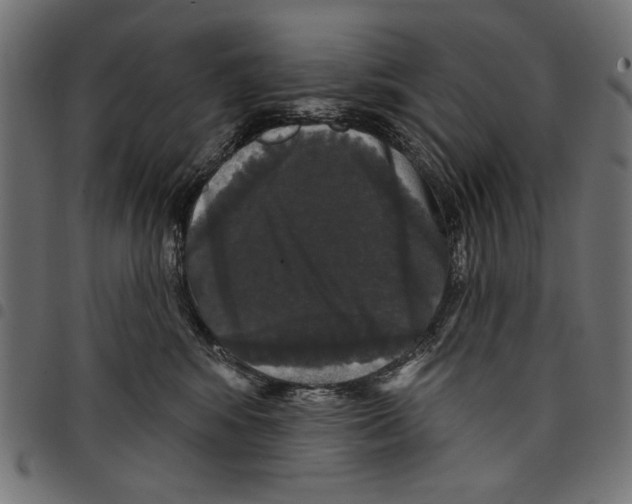 X0000097650424200803280933