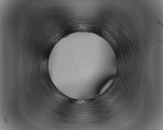 X0000097650425200803280933