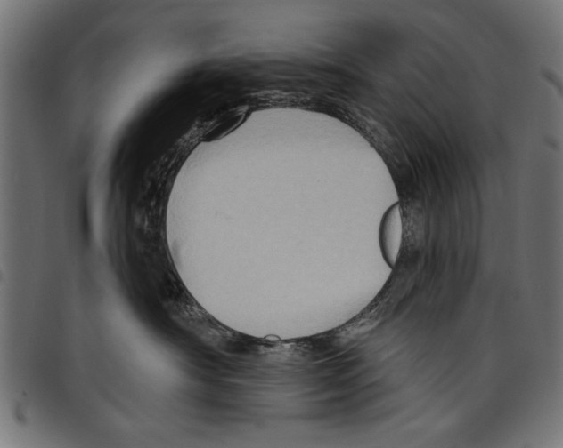 X0000097650430200803280933