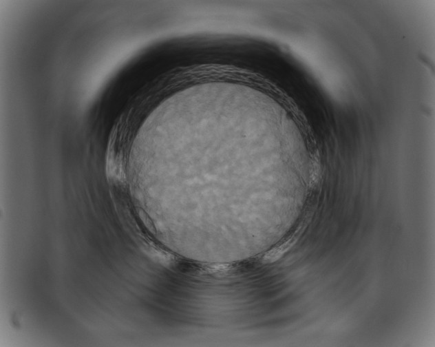 X0000097650431200803280933