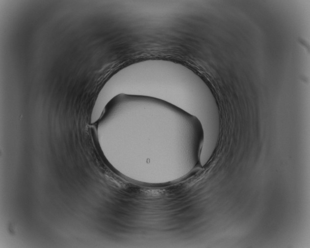 X0000097650432200803280933