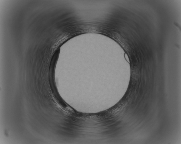 X0000097650433200803280932