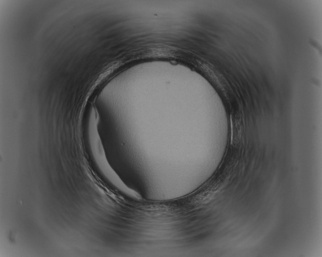 X0000097650435200803280932