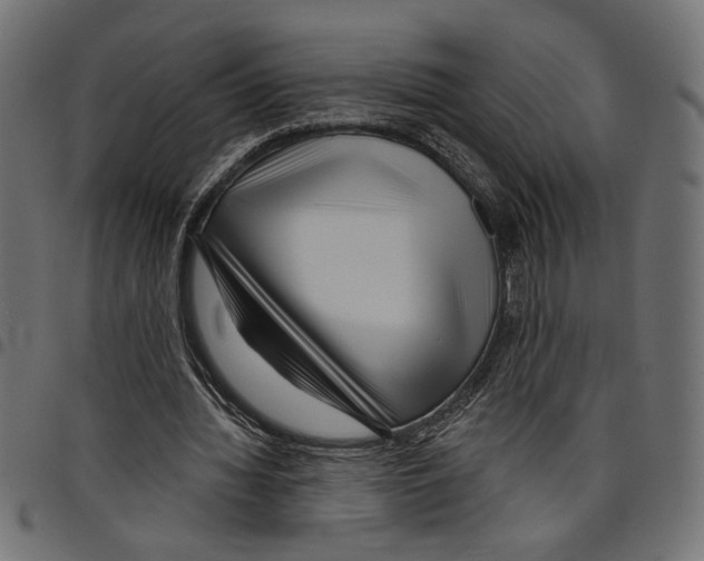 X0000097650436200803280932