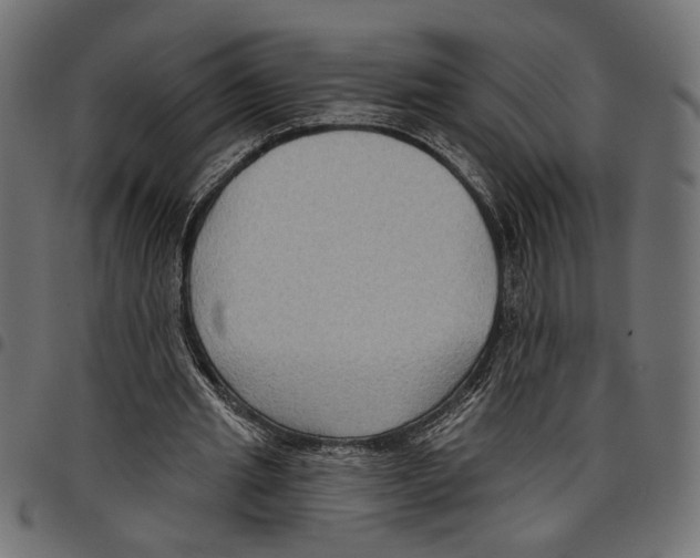 X0000097650437200803280932