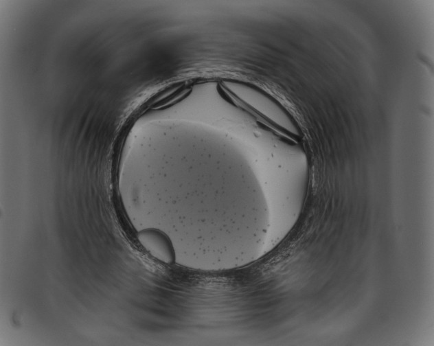 X0000097650438200803280932