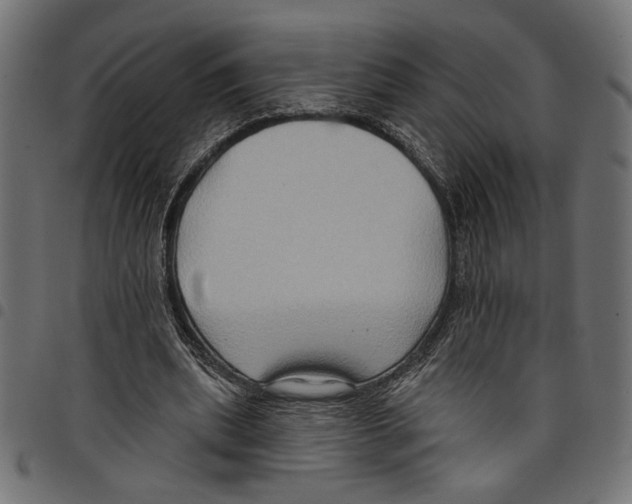 X0000097650439200803280933