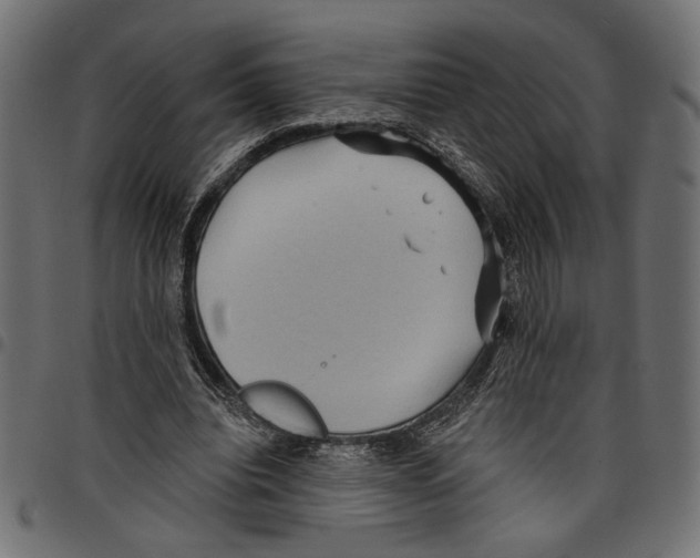 X0000097650440200803280933