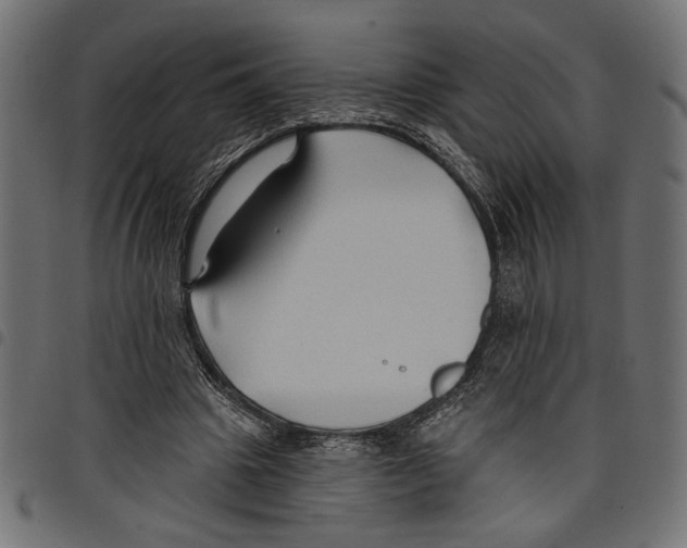 X0000097650441200803280933