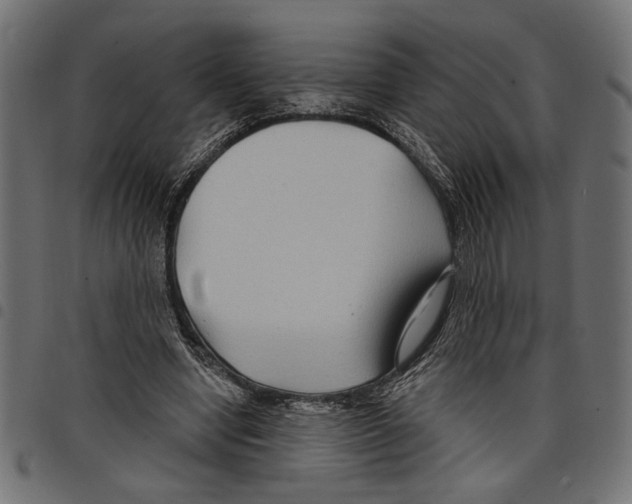 X0000097650442200803280933