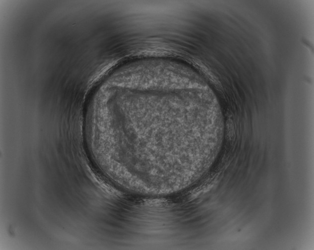 X0000097650446200803280933