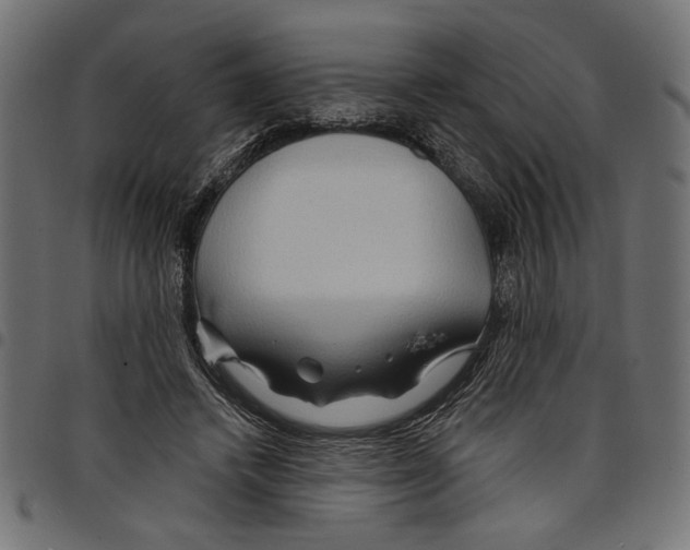 X0000097650448200803280933