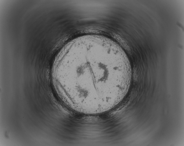 X0000097650449200803280933