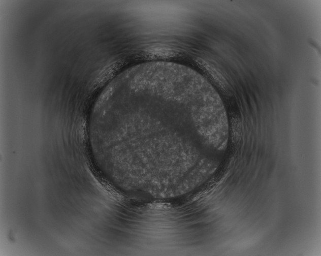 X0000097650451200803280933