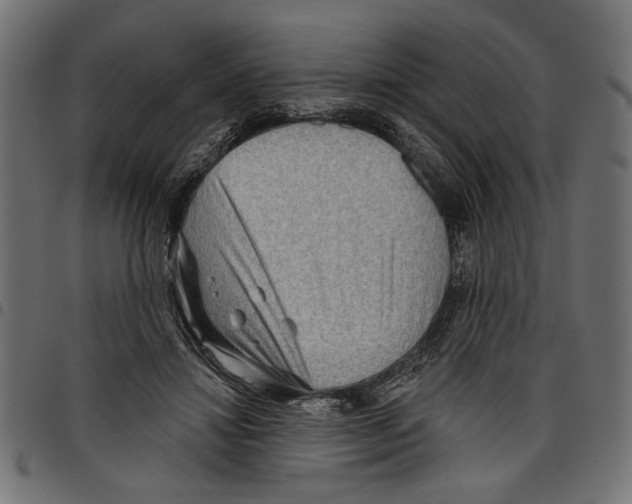 X0000097650452200803280933